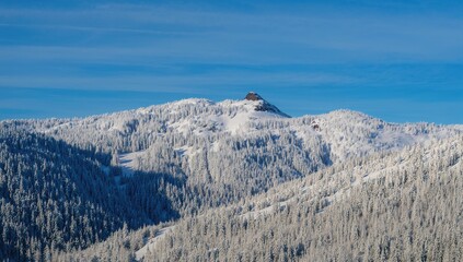 A pristine snowy valley framed by evergreen trees and towering peaks beneath a vivid blue sky