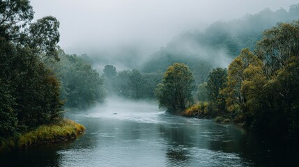A peaceful river meanders through a dense forest shrouded in mist during early morning. Lush trees line the banks, creating a tranquil scene amid nature's beauty.