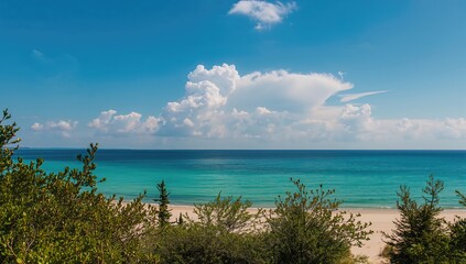 Fototapeta premium The Baltic Sea during summer, showcasing seasonal change