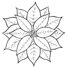 Fototapeta premium Outline Poinsettia Flower with Detailed Leaves and Berries Center