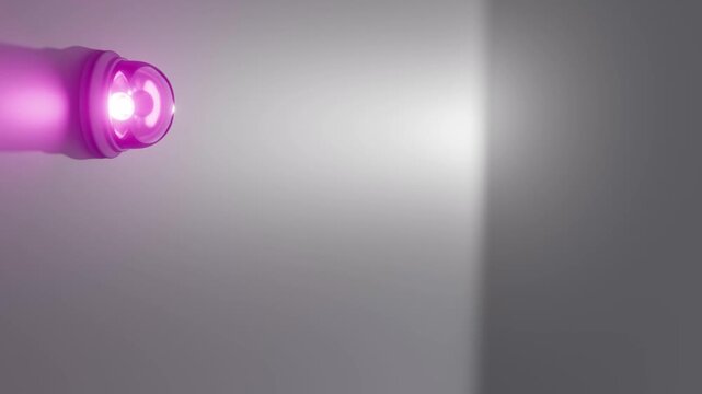 moderne Alarmsirene mit heller pinker Signalleuchte - Gefahr und Sicherheit, Warnung f&uuml;r Risiko, Notfall und Schutzsysteme in moderner Sicherheitsumgebung, Technologie, Hilfe, Rettung
