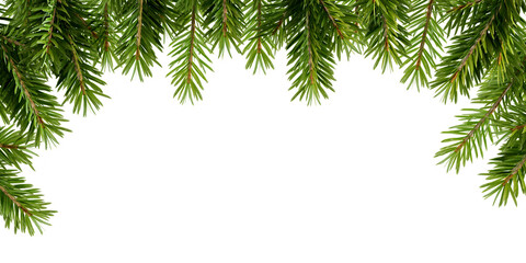 christmas tree branches frame on white