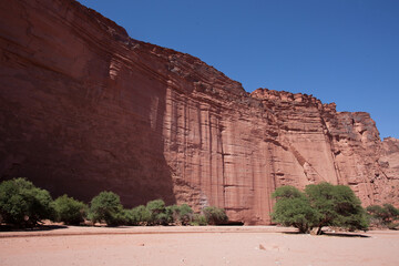 Detail of rocks in Talampaya national Park in Argentine.