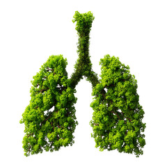 An artistic rendering of human lungs crafted from vibrant, flourishing plant life, representing the vital connection between health, nature, and the environment.