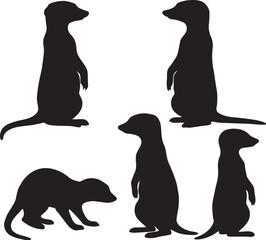 set of silhouette meer cat