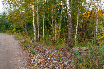 A beautiful golden autumn scenery of a leaf covered pathway in Riga, Latvia. Sunny day in a city.