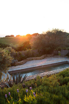 golden hour by the pool