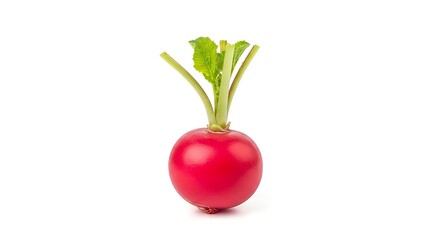 Fresh Red Radish with Green Leaves Isolated on White Background