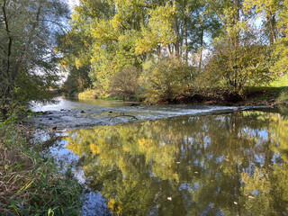river with streaming water in the wood