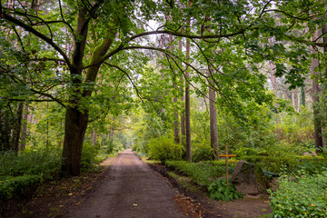A calm autumn scenery with a path leading through a graveyard. Fall landscape of Riga, Latvia.