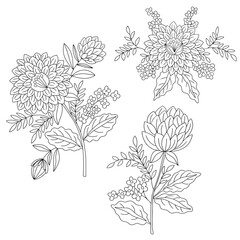 Elegant floral vector with detailed hand-drawn flowers and leaves isolated on white background. Perfect for coloring pages, textile patterns, wedding decor, packaging, and botanical design projects.