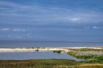 View of a mussel bank in the Lower Saxony Wadden National Park near Campen, Rysumer Nacken, Krummhörn, East Frisia, Germany
