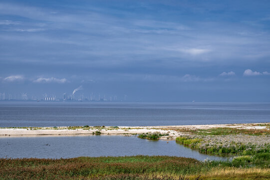 View of a mussel bank in the Lower Saxony Wadden National Park near Campen, Rysumer Nacken, Krummh&ouml;rn, East Frisia, Germany