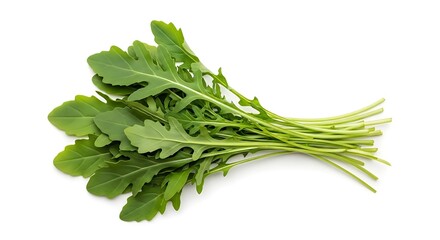 Fresh Arugula Leaves Bunch Isolated on White Background