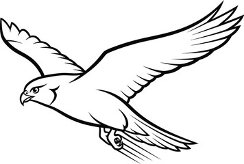 Obraz premium Falcon bird flight flying wings animal wildlife nature predator freedom soaring talon
