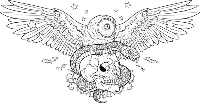Owl snake skull wings stars bats lineart tattoo drawing gothic occult art