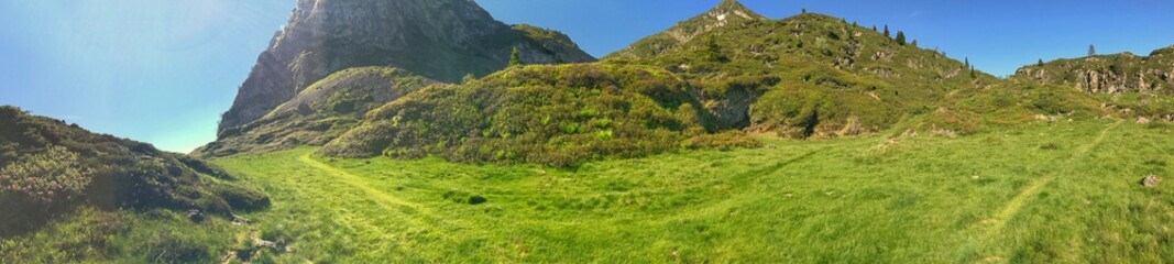Obraz premium Panoramic view of lush green alpine meadow with mountain peaks under clear sky
