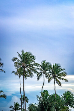 Jericoacoara Beach, Ceara - Brazil