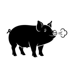 Obraz premium Black pig blowing air from its snout, side view, isolated.
