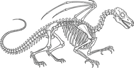 Dragon skeleton bones fantasy mythical creature drawing anatomy extinct art