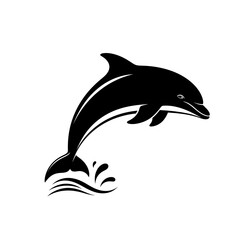 Fototapeta premium Black dolphin jumping out of the water with splash.