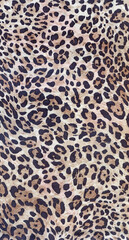 Luxury leopard background. Wild tiger pattern. Pantera animal print. Cheetah print. Snow leopard fur.