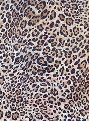 Luxury leopard background. Wild tiger pattern. Pantera animal print. Cheetah print. Snow leopard fur.
