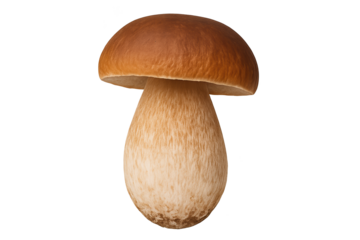 Single brown-capped mushroom with lighter beige stem on transparent background