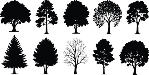 Flat vector silhouette set of diverse tree shapes with coniferous and deciduous forms, bare branches, foliage styles, nature design, landscape © MD