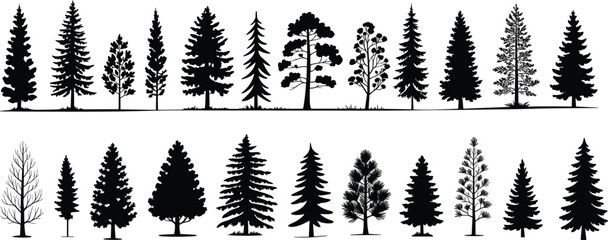 Flat vector silhouette set of coniferous and deciduous trees with diverse shapes, foliage styles, bare branches, nature design, forest elements © MD