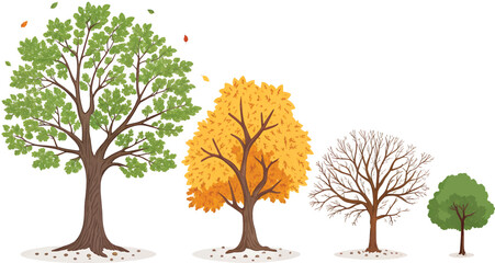 Fototapeta premium autumn tree with leaves