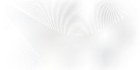 Delicate White Flower Blossom with Soft Petals and Subtle Texture.