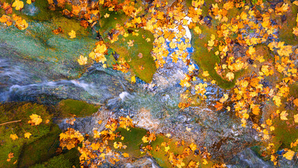 Stream flowing between mossy stones covered with orange leaves creating natural abstract autumn pattern