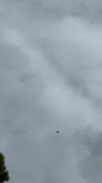 Bird soaring through cloudy sky, camera follows with smooth upward motion