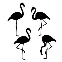 Obraz premium Elegant black flamingo silhouettes poised gracefully in a minimalist artistic composition