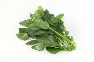 Basella alba - leaf vegetable on white background