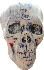 human skull on transparent background