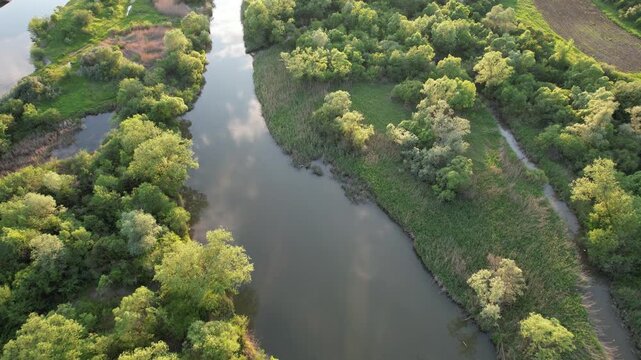 Delta Floresti and Somes river, a river, delta, lake, and wetland area. Natural environment near the Cluj-Napoca city