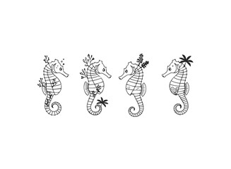 Minimalist Seahorse Line Art Illustrations Set