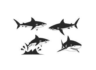 Set of Four Shark Illustrations
