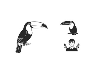 Tropical Toucan Bird and Nature Vector Icons