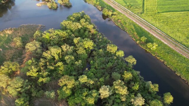Delta Floresti and Somes river, a river, delta, lake, and wetland area. Natural environment near the Cluj-Napoca city