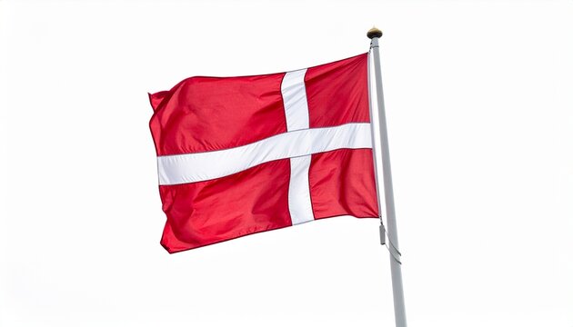 The Danish national flag, Dannebrog, flying on a flagpole against a white sky with a bird in the background.