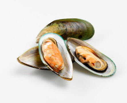 Miesmuscheln,food,niemand,studio,closeup,Mytilidae,weiss,gr&uuml;nlippmuschel