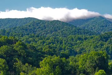 Fototapeta premium Vibrant, high-resolution view of dense, rolling green Appalachian mountains under a clear blue sky. Perfect for themes of nature, conservation, travel, wellness, and serene escape.