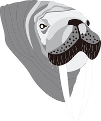 A detailed vector illustration of walrus head, perfect for wildlife art, educational designs, mascot branding, or creative decoration in digital projects.
