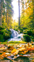 Small waterfall surrounded by colorful autumn leaves and mossy rocks in bright forest light