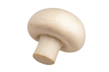 White button mushroom with smooth cap and short stem suitable for cooking model/ethnicity not applicable