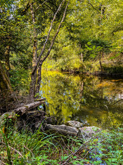 Ezcabarte is a town located in the province of Navarre, northern Spain.