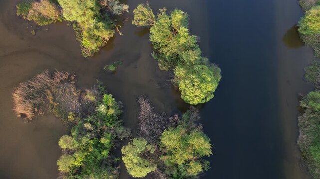 Delta Floresti and Somes river, a river, delta, lake, and wetland area. Natural environment near the Cluj-Napoca city